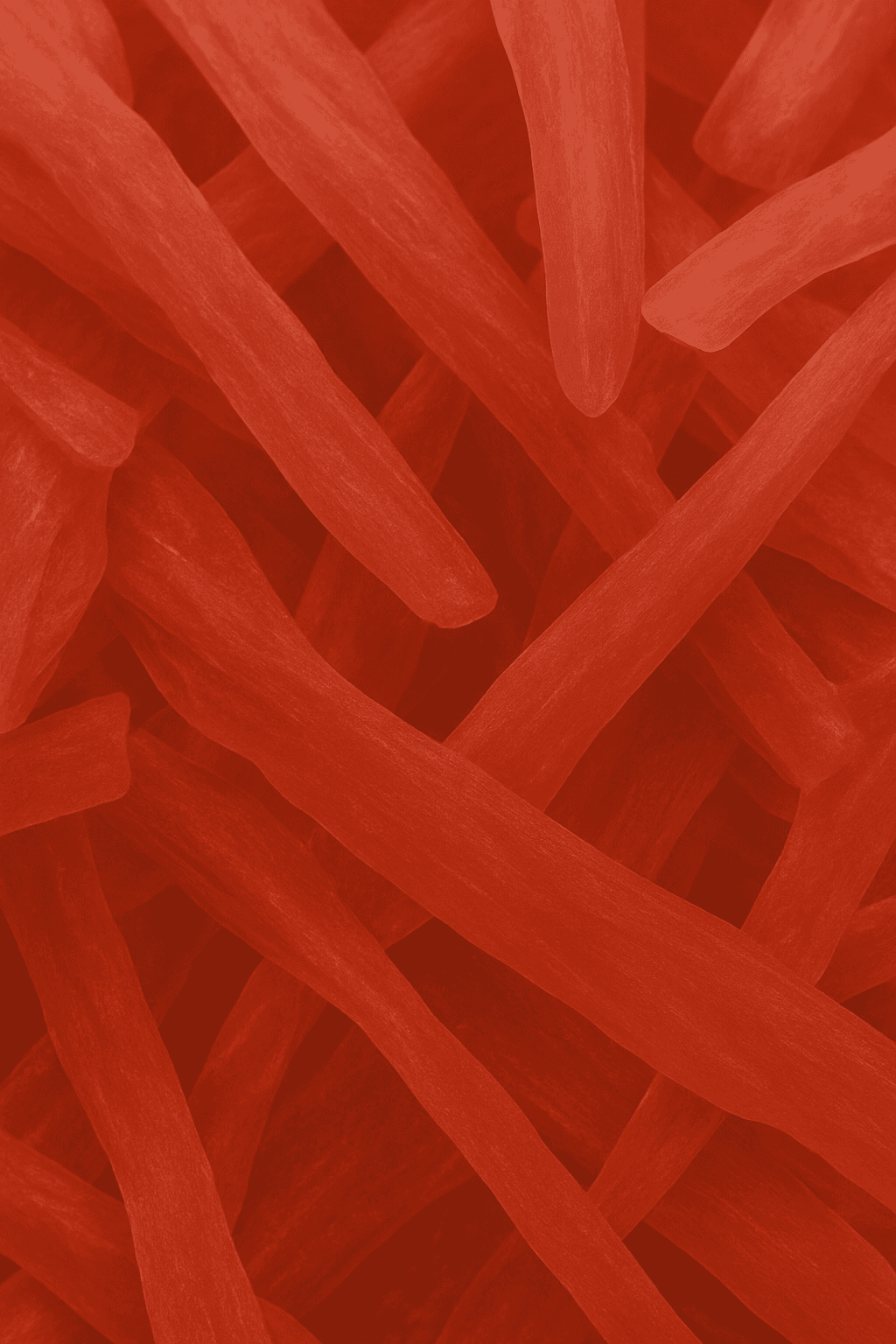 Energie & Alltagsleistung